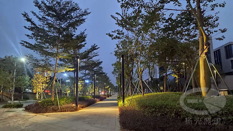 產業園夜景亮化工程實景圖